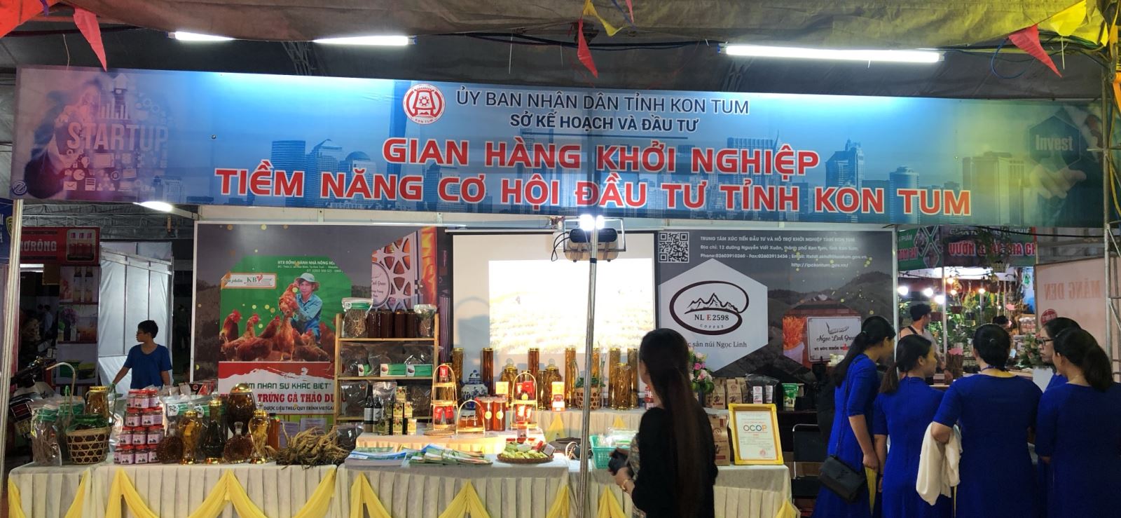 Phê duyệt Chương trình "Hỗ trợ Thanh niên khởi nghiệp" giai đoạn 2022-2030