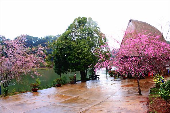 Huyện Kon Plông sẽ tổ chức nhiều hoạt động Văn hóa- Du lịch hấp dẫn trong dịp chào đón năm mới 2024