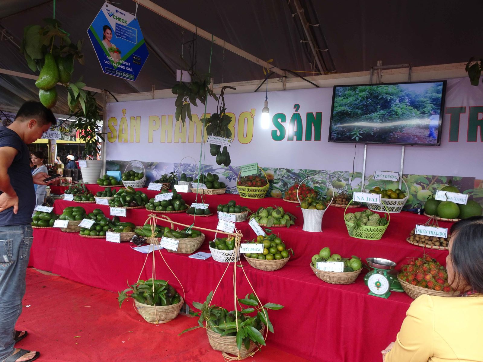 Đẩy mạnh đầu tư, phát triển và chế biến dược liệu trên địa bàn tỉnh đến năm 2025, định hướng đến năm 2030
