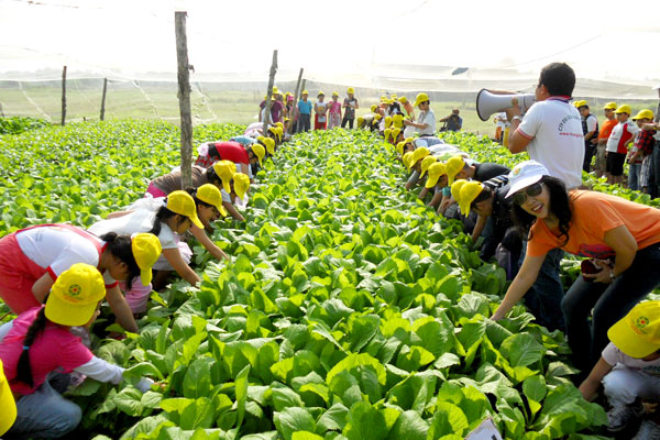 Du lịch nông nghiệp: “Lối nhỏ” chưa thành “đường”