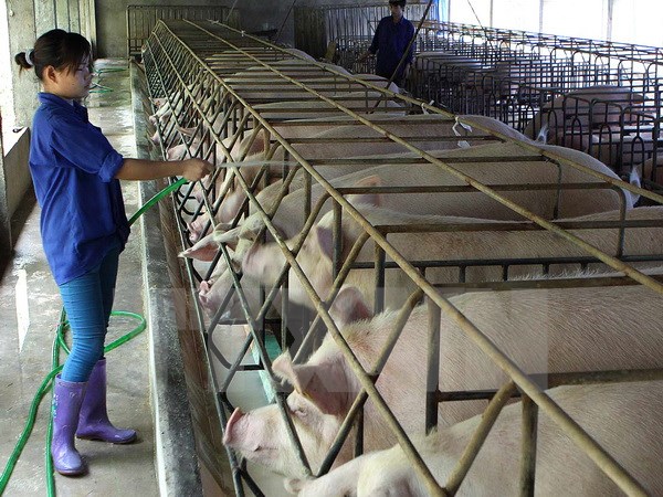 Chấp thuận điều chỉnh chủ trương đầu tư đồng thời chấp thuận nhà đầu tư Dự án Trang trại chăn nuôi lợn nái, lợn thương phẩm công nghệ cao và trồng cây tổng hợp